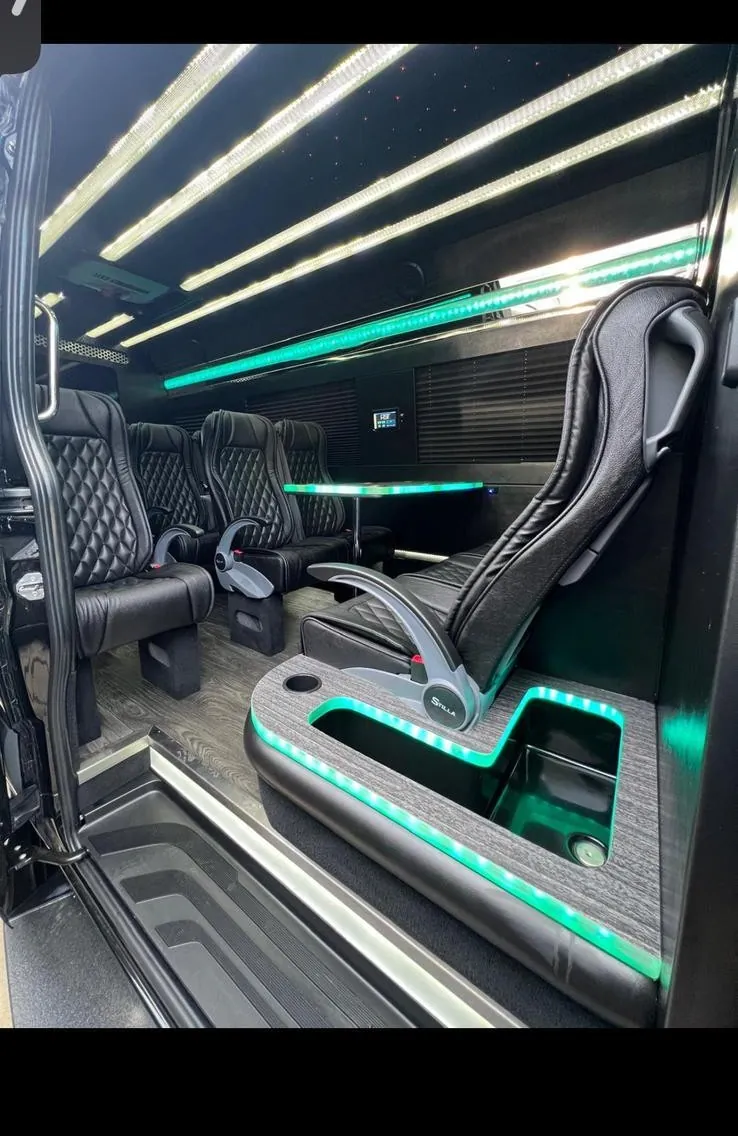 Arion Executive Sprinter interior — diamond-stitched leather seating for 9 passengers
