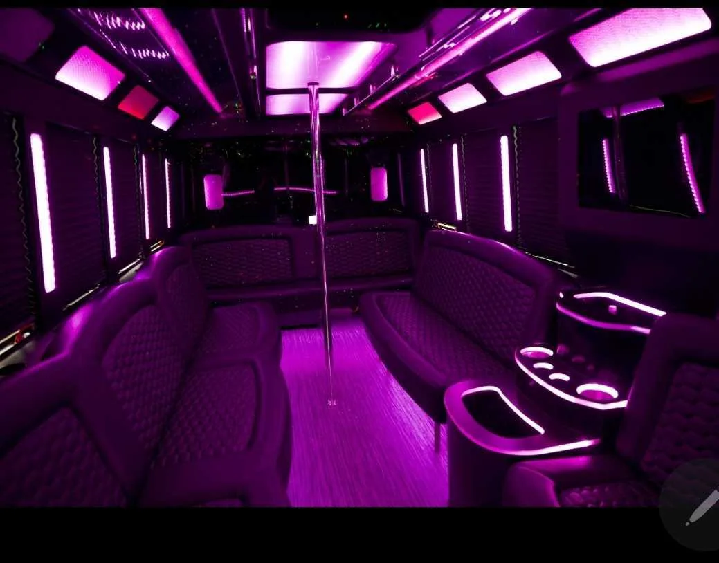 30 Passenger Party Bus
