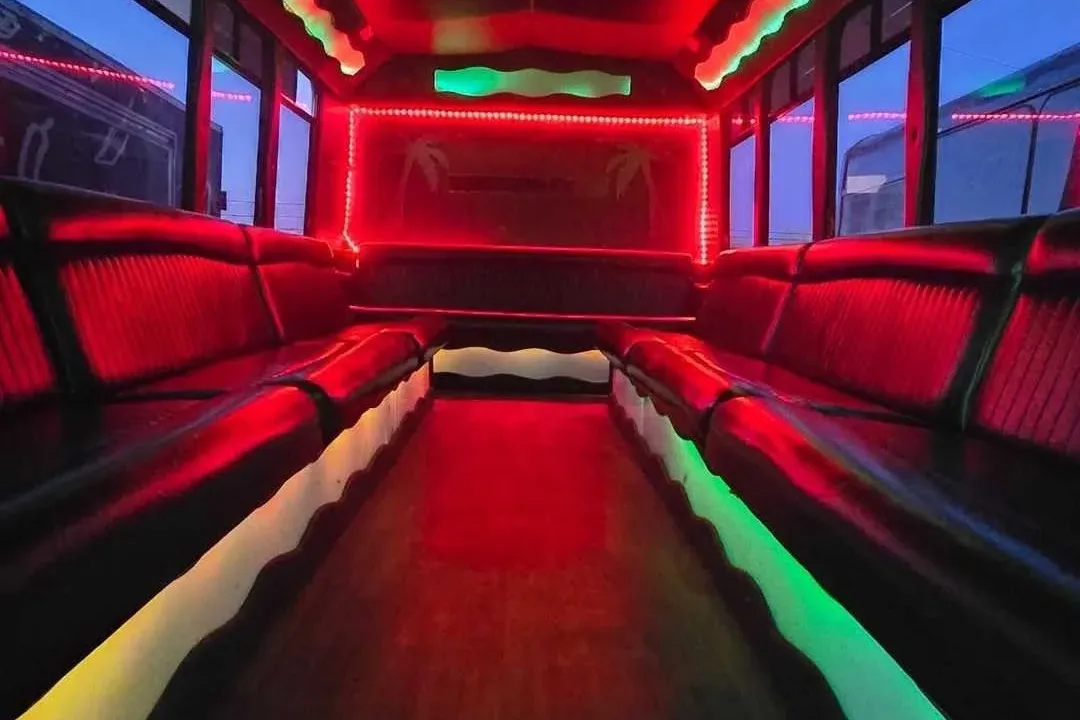 20 Passenger Party Bus